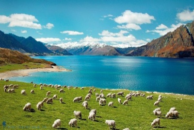 KINH NGHIỆM DU LỊCH NEW ZEALAND 2019